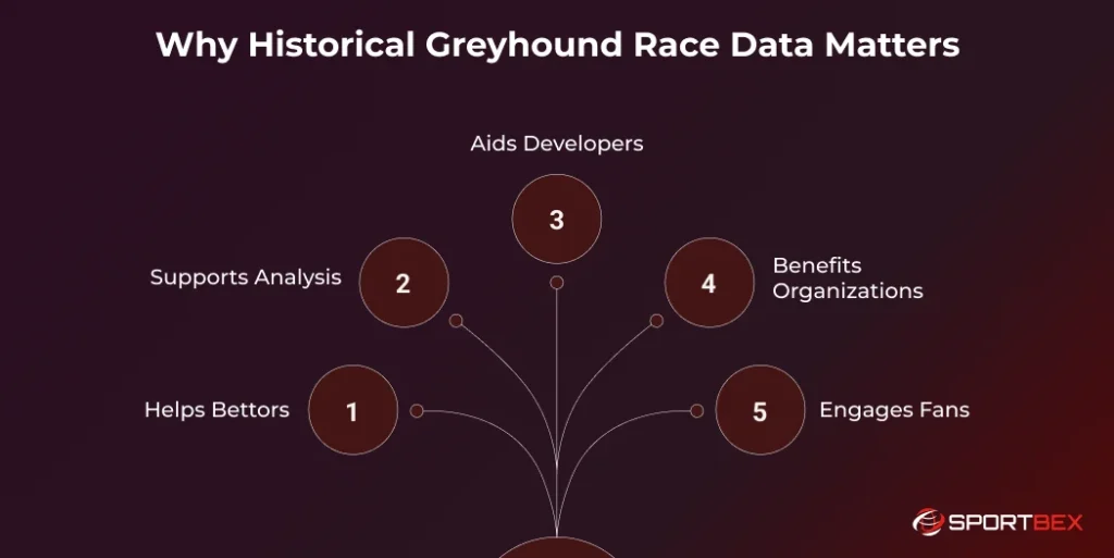 Why Historical Greyhound Race Data Matters