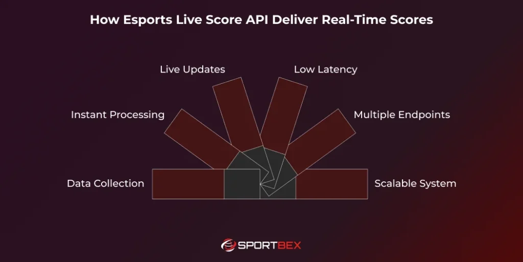How Esports Live Score API Deliver Real Time Scores