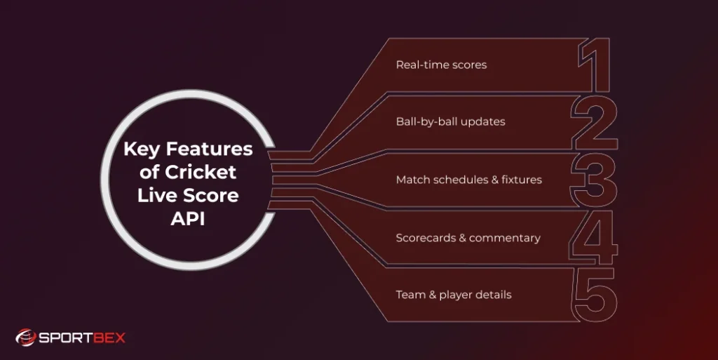 Key Features of Cricket Live Score API