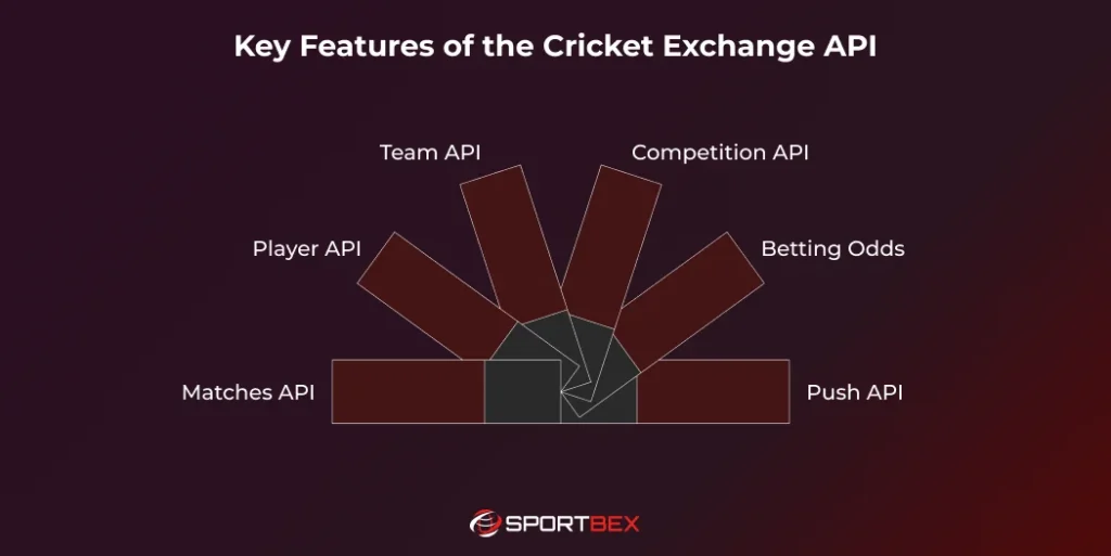 Key Features of the Cricket Exchange API