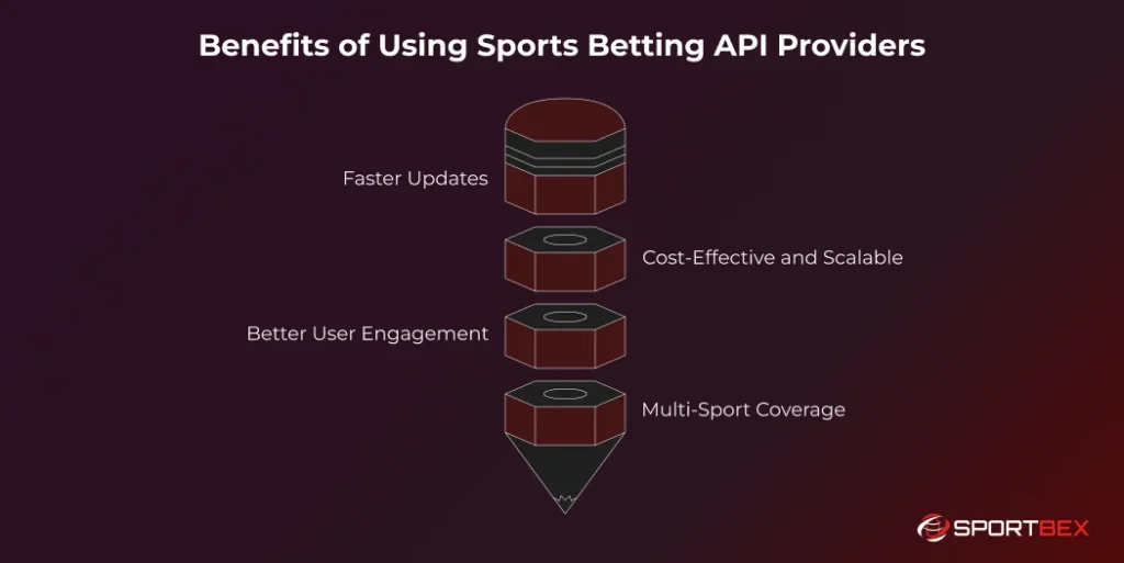 Benefits of Using Sports Betting API Providers