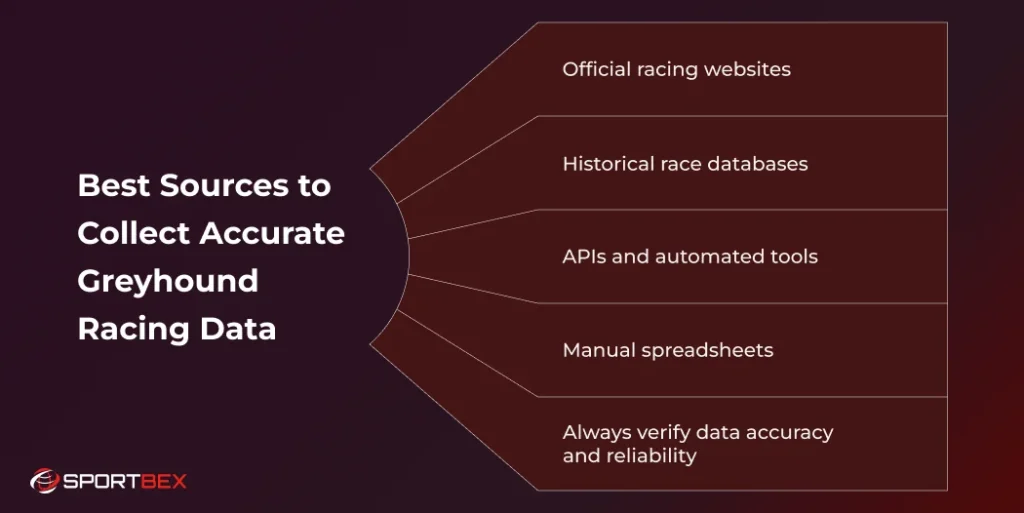 Best Sources to Collect Accurate Greyhound Racing Data