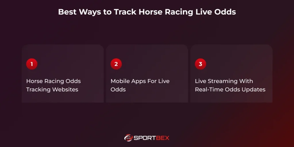 Best Ways to Track Horse Racing Live Odds
