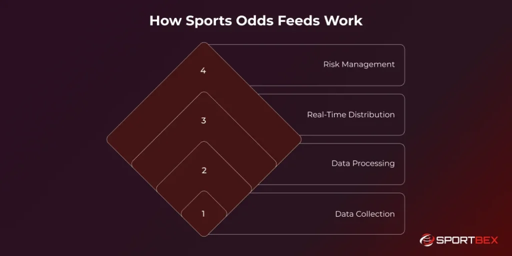 How Sports Odds Feeds Work