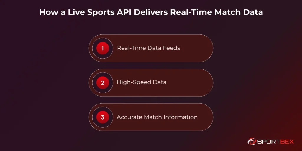 How a Live Sports API Delivers Real Time Match Data