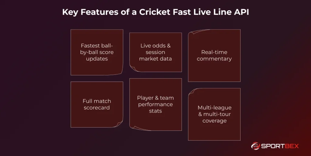 Key Features of a Cricket Fast Live Line API