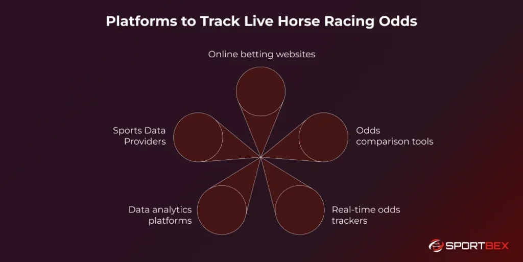 Platforms to Track Live Horse Racing Odds
