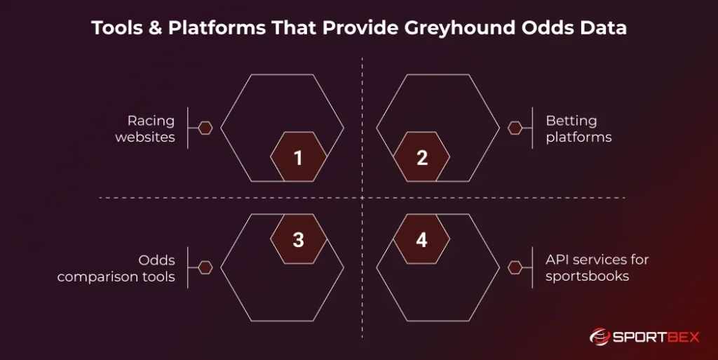 Tools Platforms That Provide Greyhound Odds Data