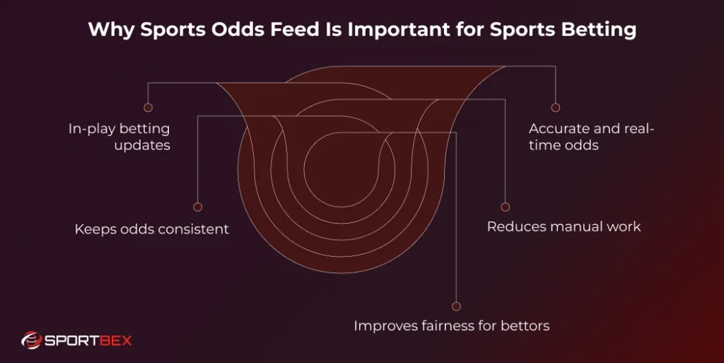 Why Sports Odds Feed Is Important for Sports Betting