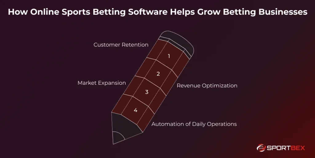 How Online Sports Betting Software Helps Grow Betting Businesses