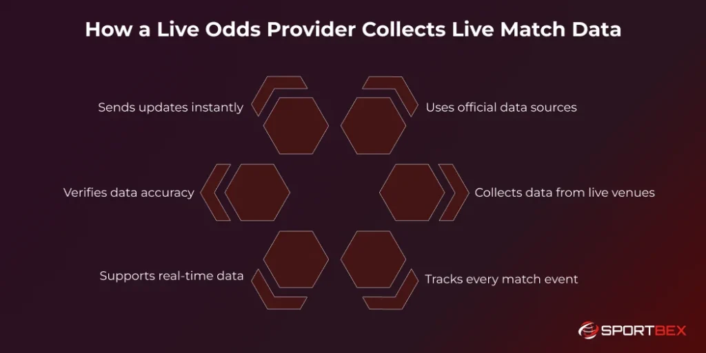 How a Live Odds Provider Collects Live Match Data
