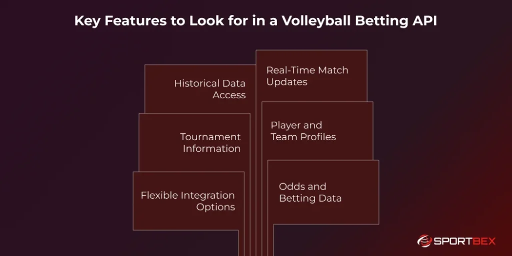 Key Features to Look for in a Volleyball Betting API