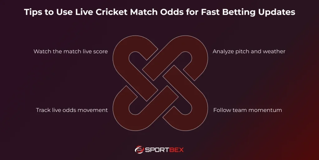 Tips to Use Live Cricket Match Odds for Fast Betting Updates