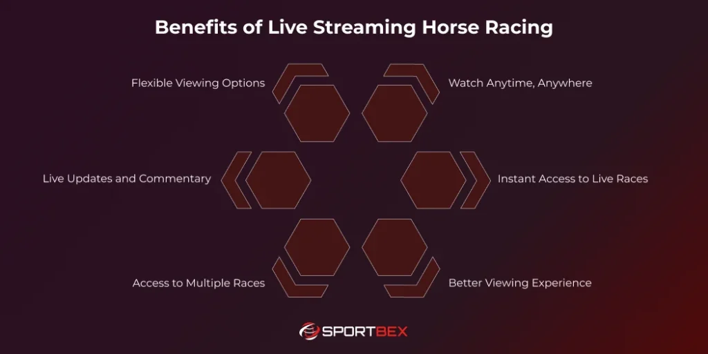 Benefits of Live Streaming Horse Racing