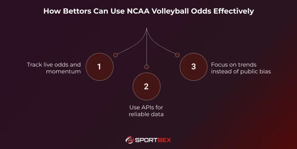 How Bettors Can Use NCAA Volleyball Odds Effectively