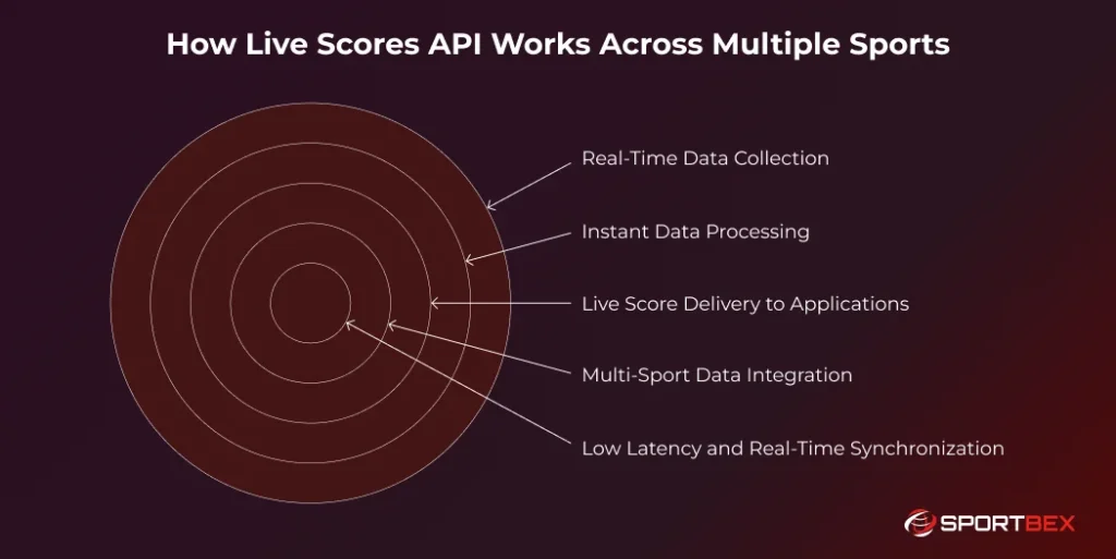 How Live Scores API Works Across Multiple Sports