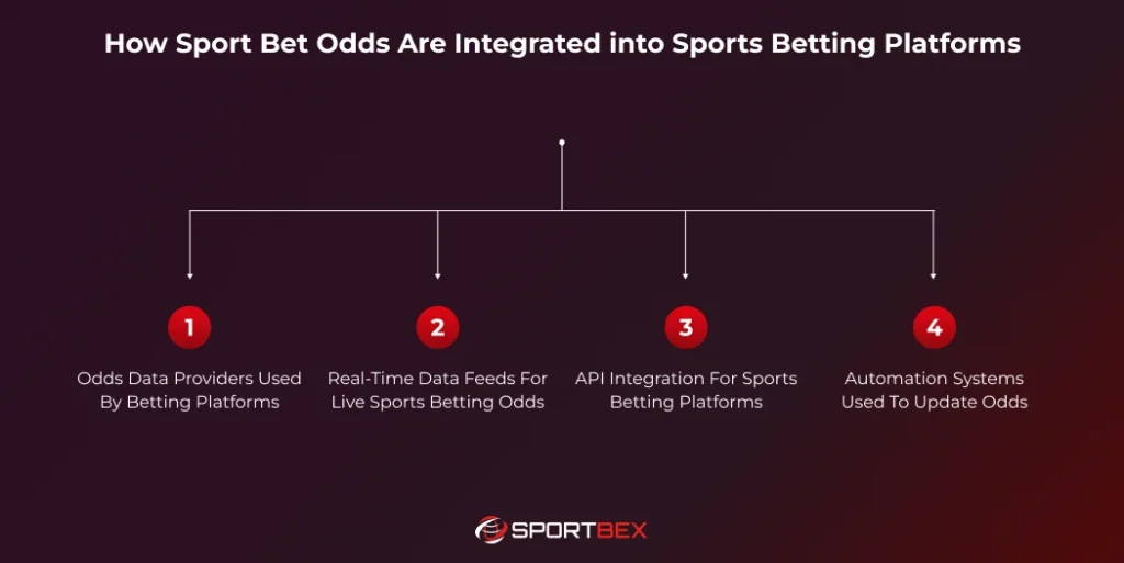 How Sport Bet Odds Are Integrated into Sports Betting Platforms