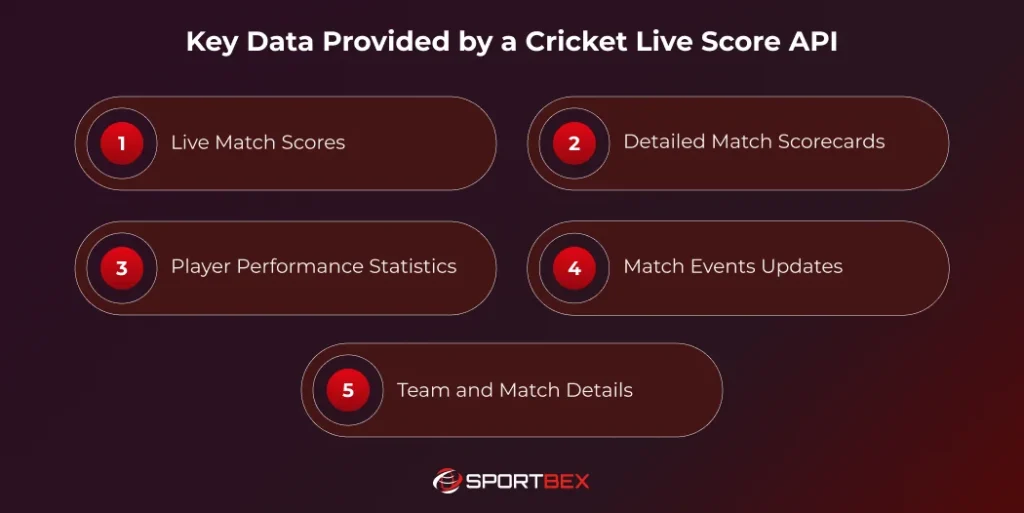 Key Data Provided by a Cricket Live Score API