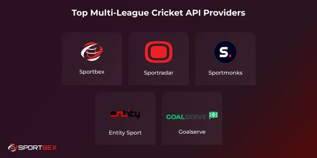 Top Multi League Cricket API Providers 1