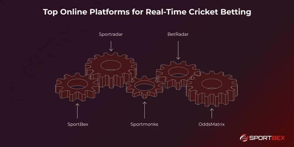 Top Online Platforms for Real Time Cricket Betting