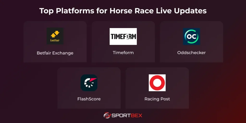 Top Platforms for Horse Race Live Updates