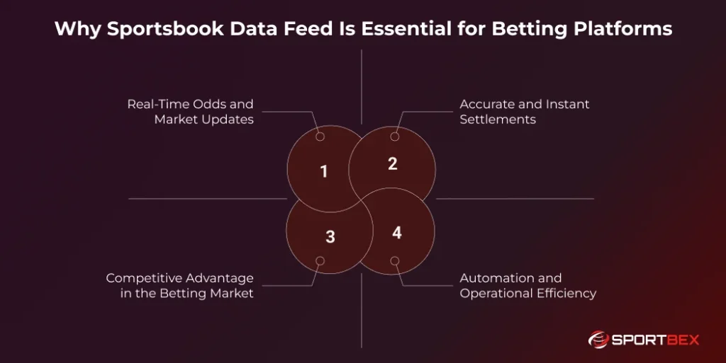 Why Sportsbook Data Feed Is Essential for Betting Platforms