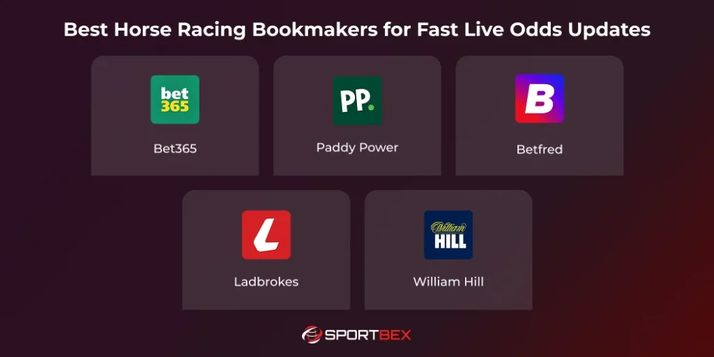 Best Horse Racing Bookmakers for Fast Live Odds Updates