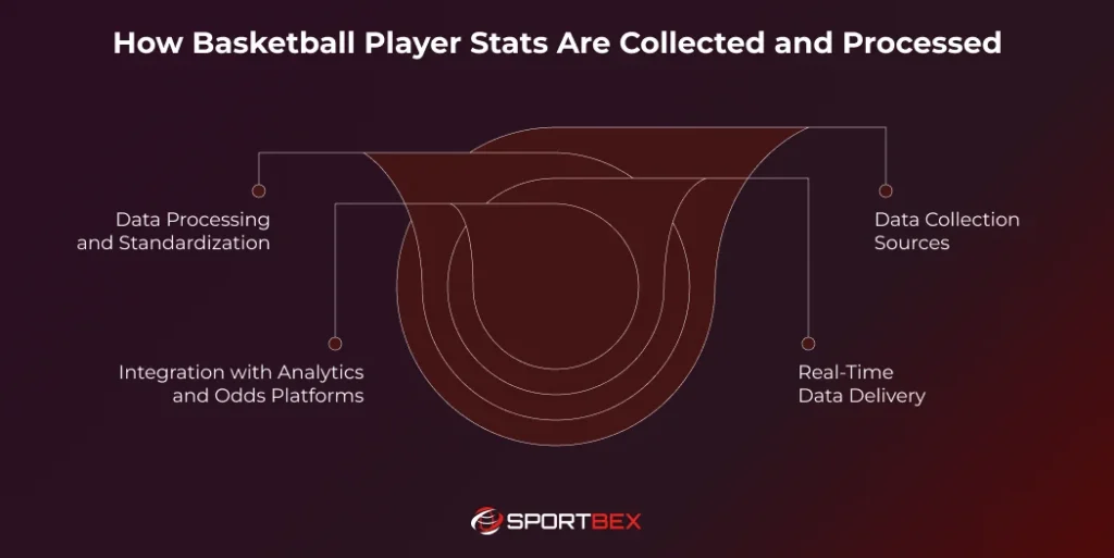 How Basketball Player Stats Are Collected and Processed