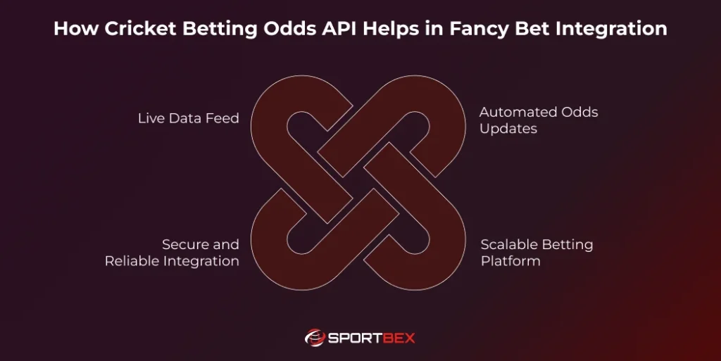 How Cricket Betting Odds API Helps in Fancy Bet Integration