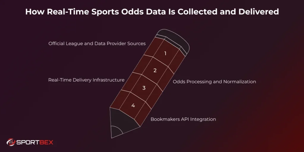 How Real Time Sports Odds Data Is Collected and Delivered