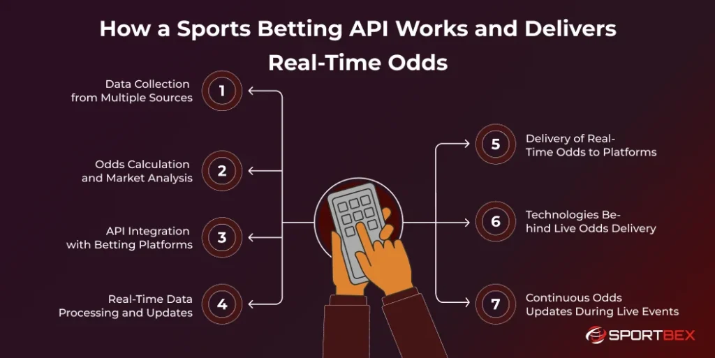 How a Sports Betting API Works and Delivers Real Time Odds