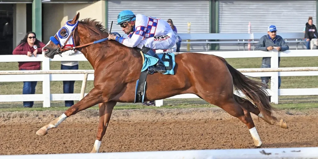 Quarter Horse Racing