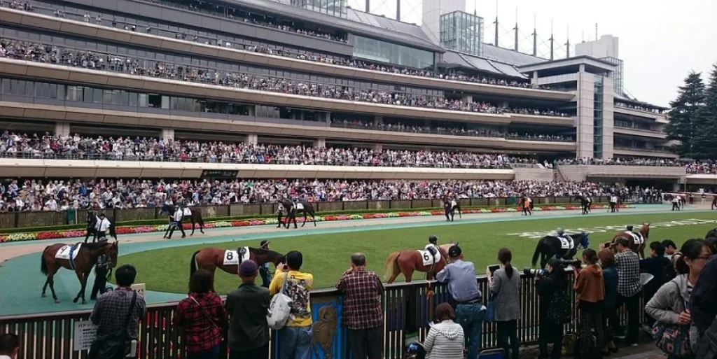Tokyo Racecourse – Japan