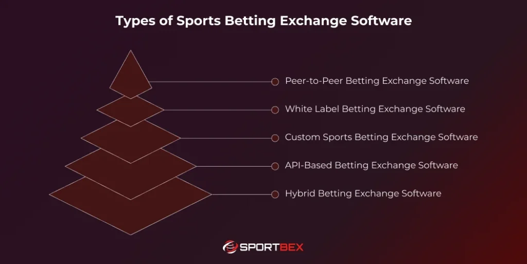 Types of Sports Betting Exchange Software