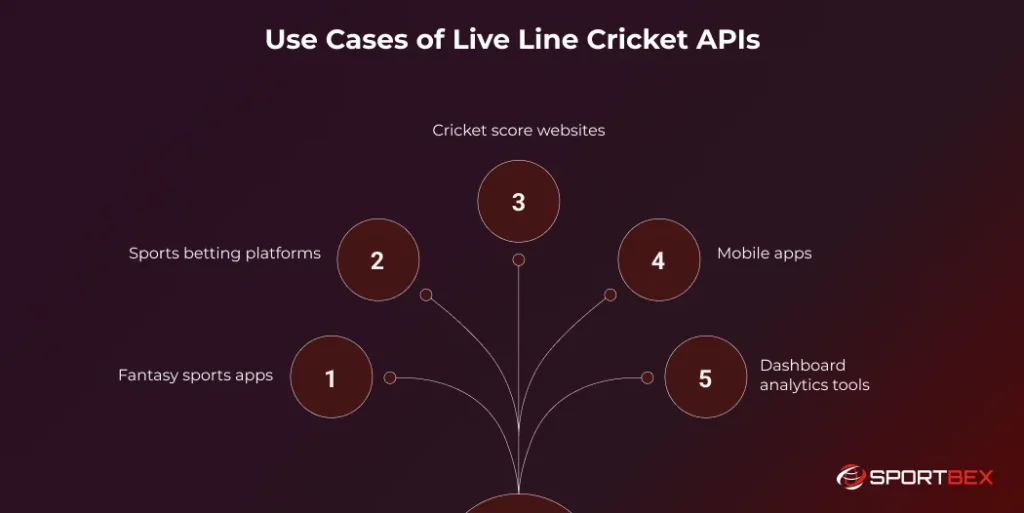 Use Cases of Live Line Cricket APIs
