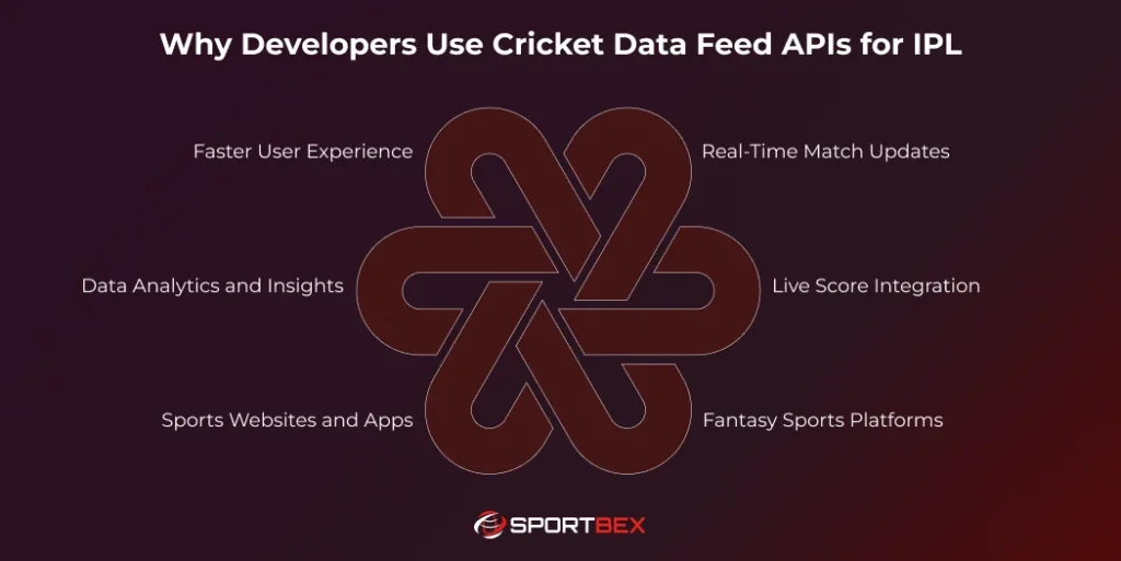 Why Developers Use Cricket Data Feed APIs for IPL