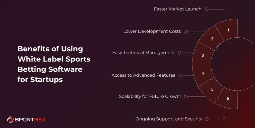 Benefits of Using White Label Sports Betting Software for Startups