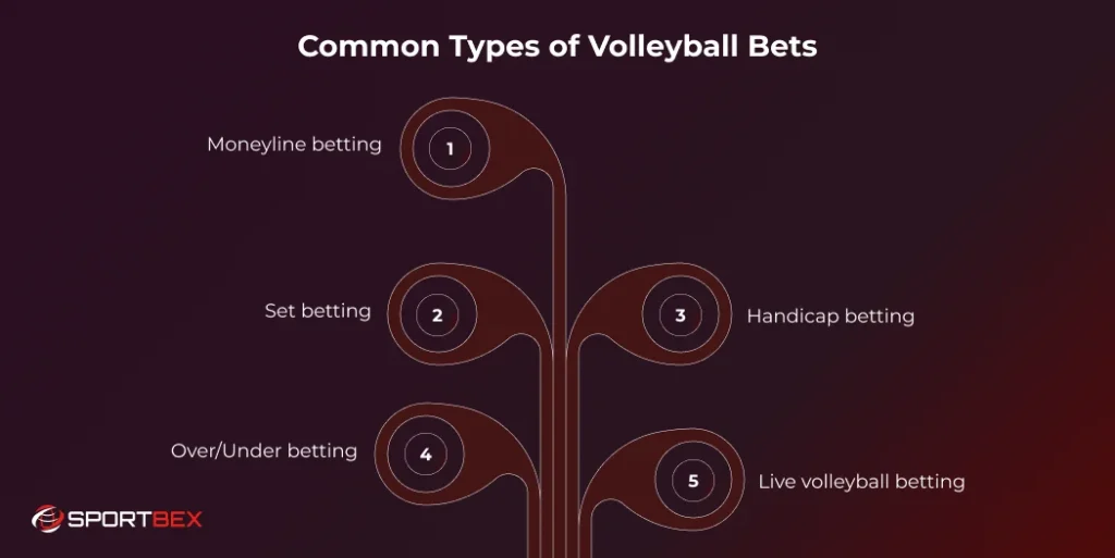 Common Types of Volleyball Bets