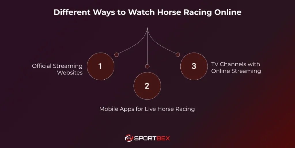 Different Ways to Watch Horse Racing Online