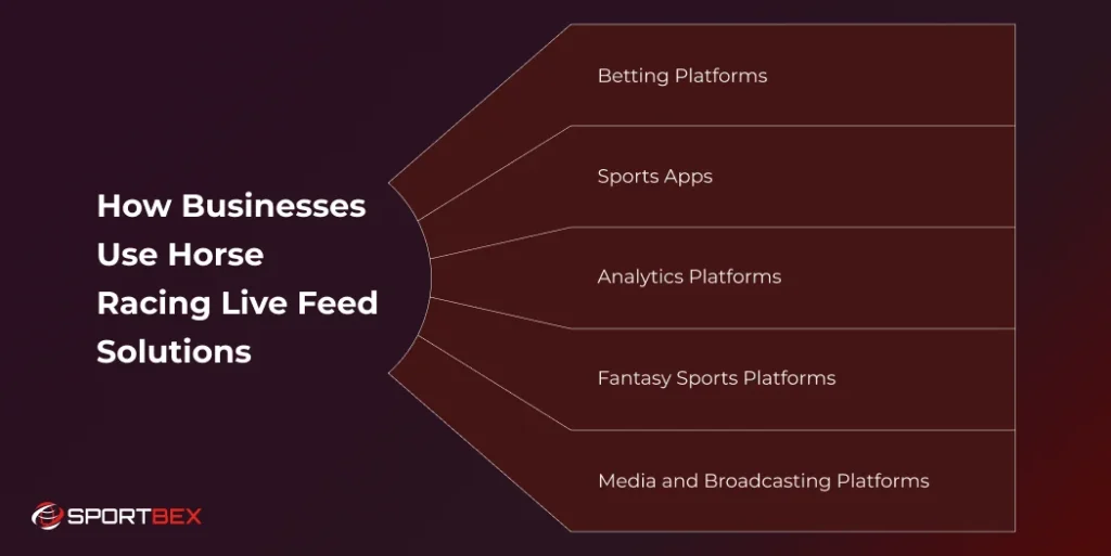 How Businesses Use Horse Racing Live Feed Solutions