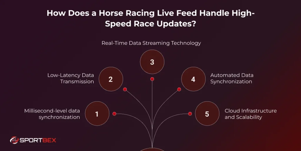 How Does a Horse Racing Live Feed Handle High Speed Race Updates