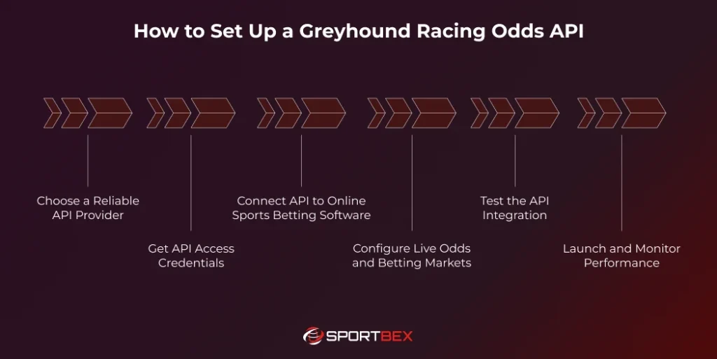How to Set Up a Greyhound Racing Odds API 1