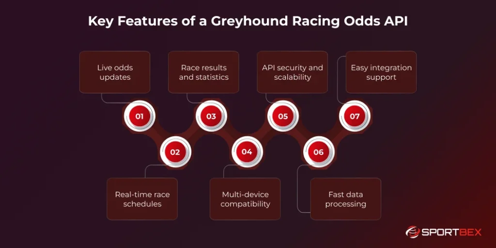 Key Features of a Greyhound Racing Odds API 1