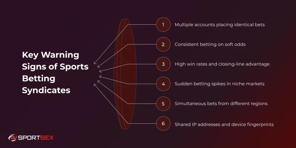 Key Warning Signs of Sports Betting Syndicates