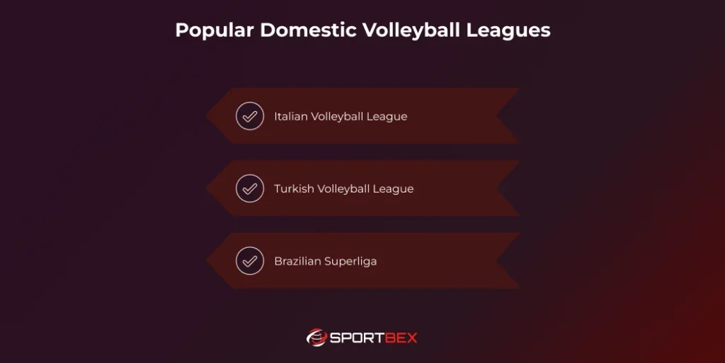 Popular Domestic Volleyball Leagues