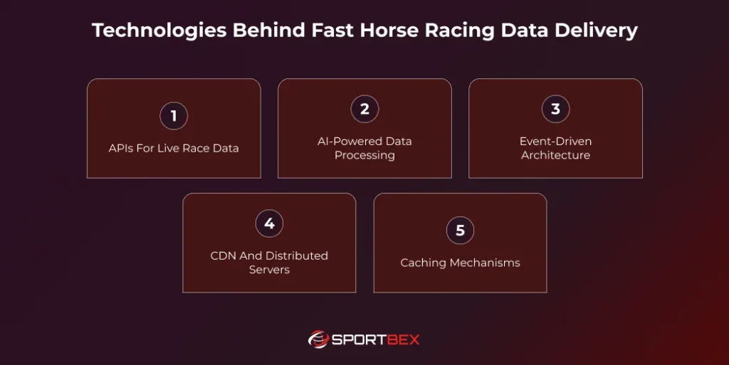 Technologies Behind Fast Horse Racing Data Delivery