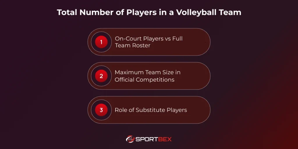 Total Number of Players in a Volleyball Team