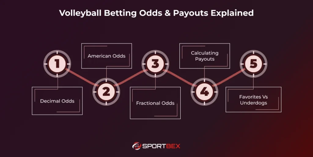 Volleyball Betting Odds Payouts Explained