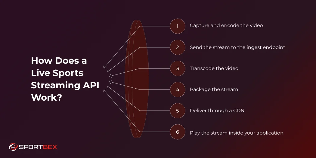 How Does a Live Sports Streaming API Work